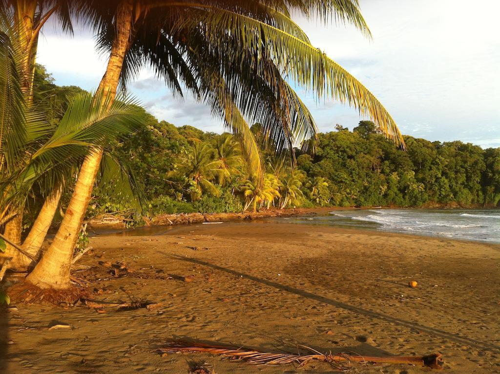 Hotel Villas Gaia Uvita Luaran gambar