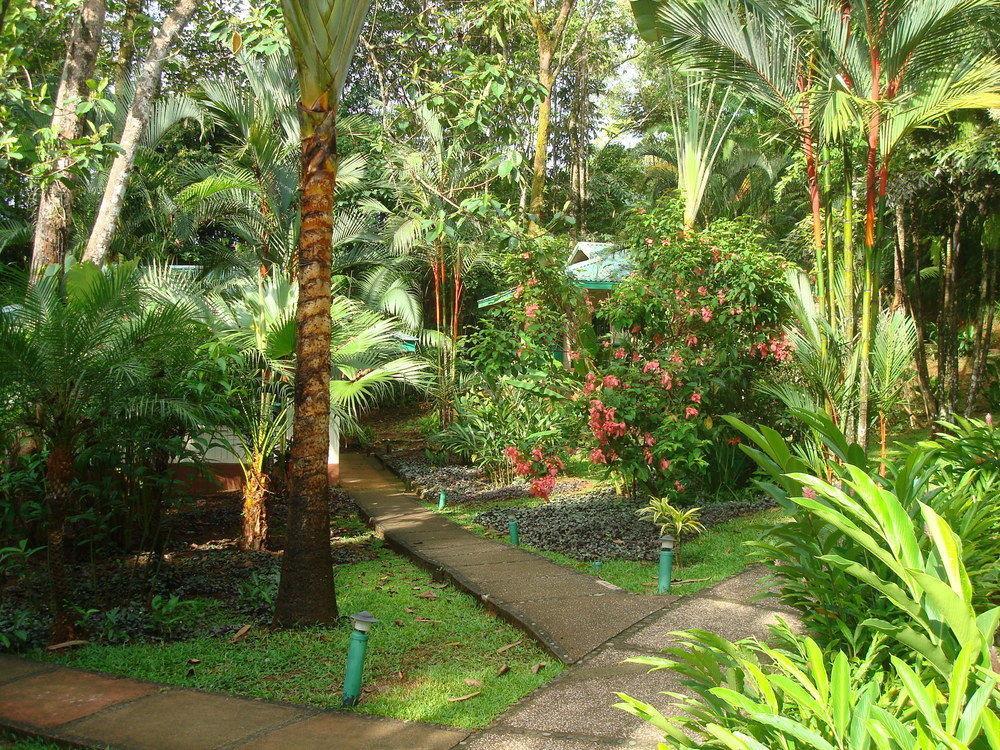 Hotel Villas Gaia Uvita Luaran gambar