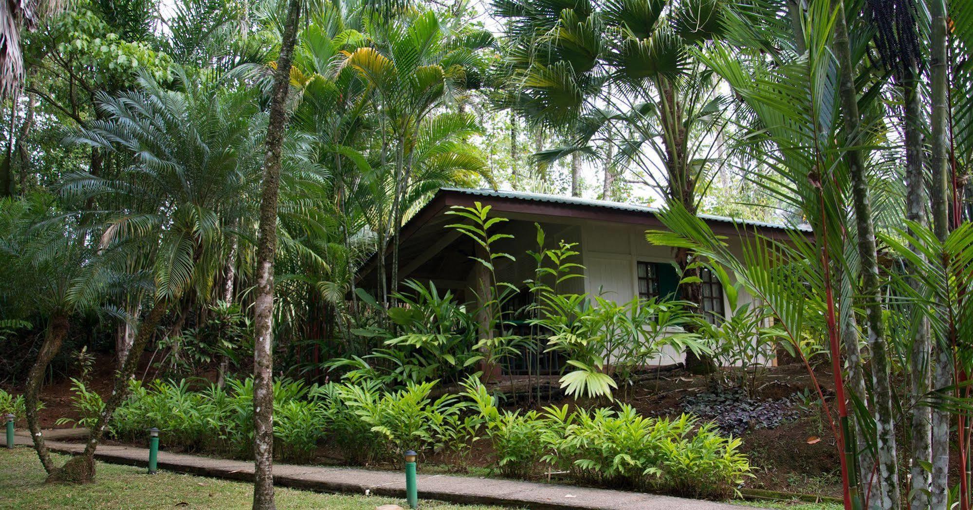 Hotel Villas Gaia Uvita Luaran gambar