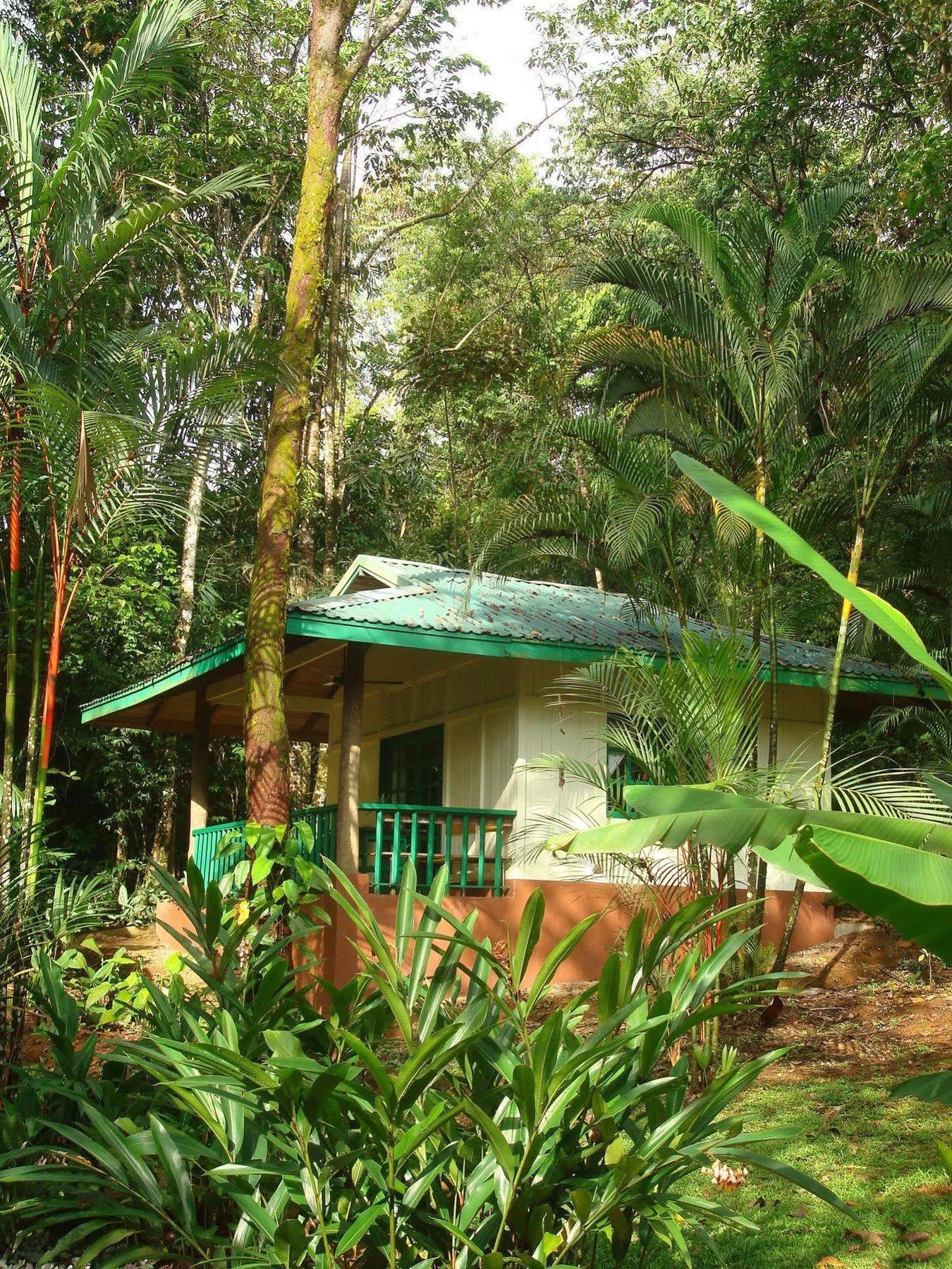 Hotel Villas Gaia Uvita Luaran gambar